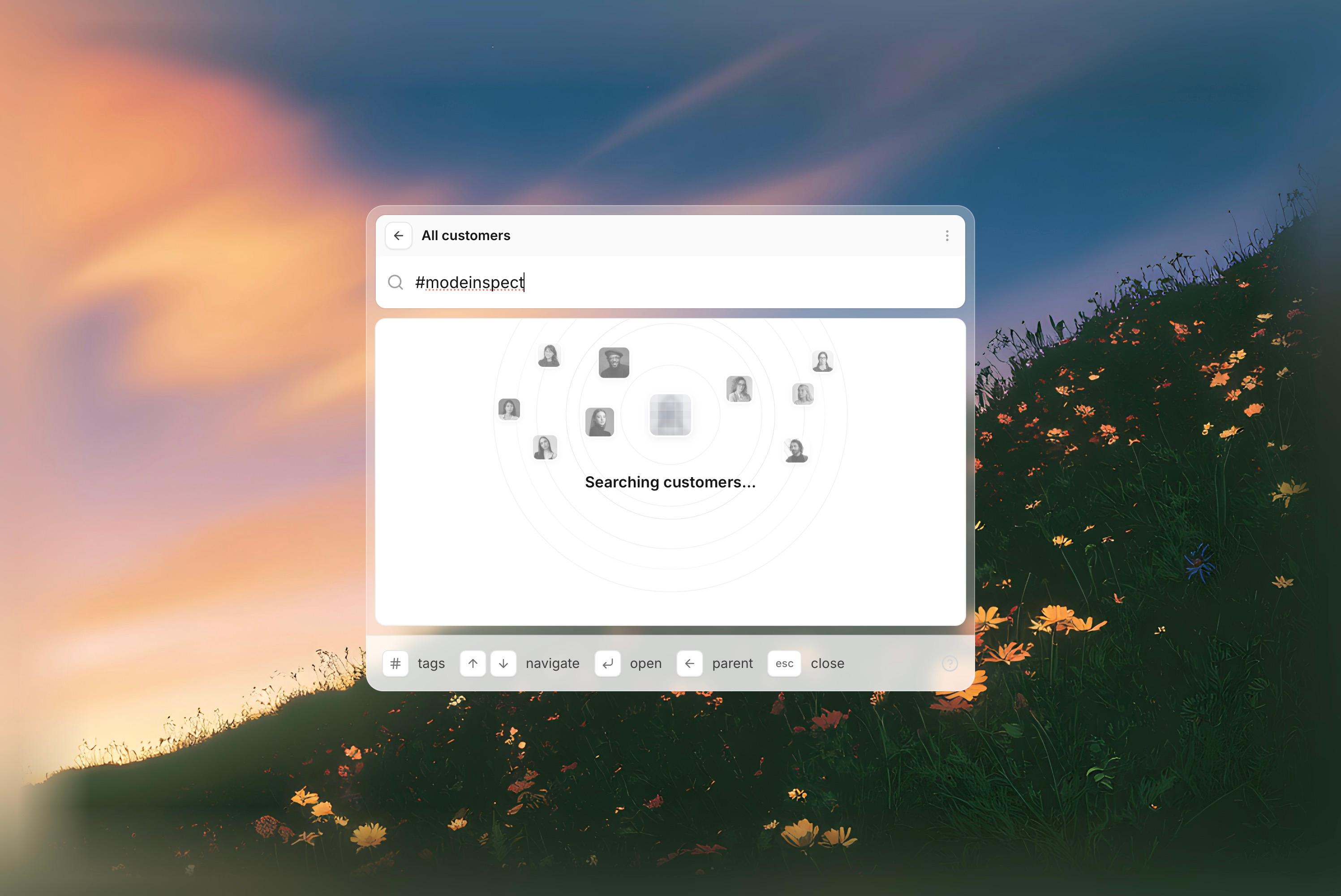 Customer Search Menu, built with Modeinspect